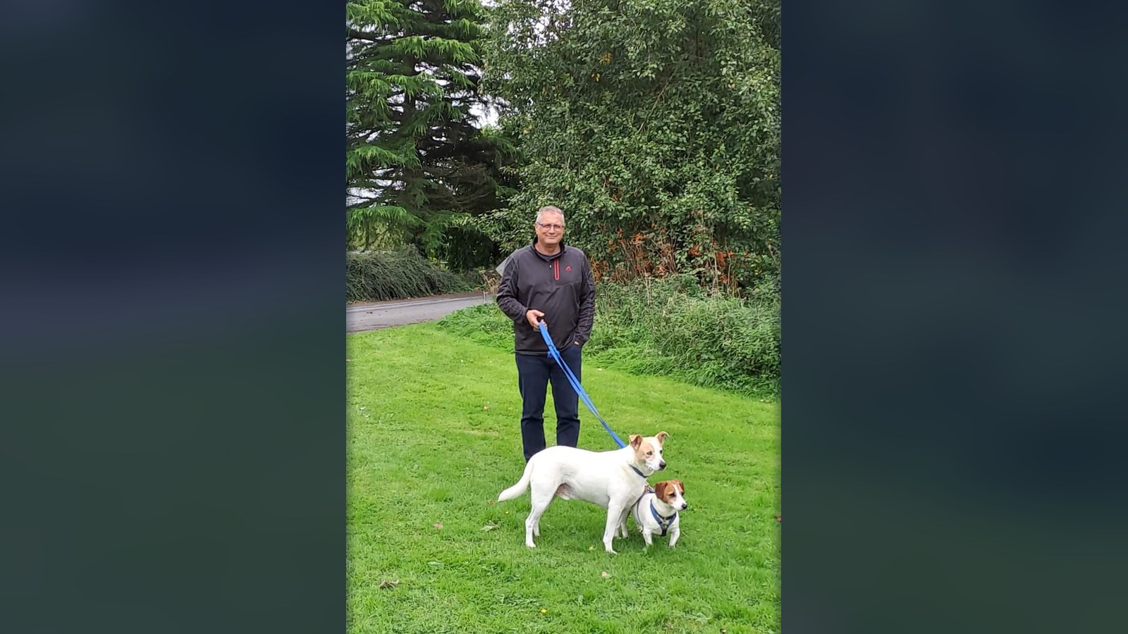 Albert walking his two Jack Russells on grass beside a country road